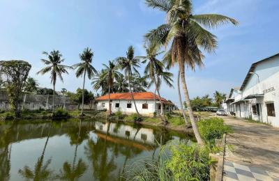 ដីលក់បន្ទាន់