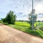 ដីល្អលក់បន្ទាន់