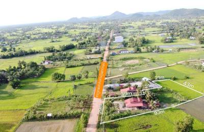 ដីលក់បន្ទាន់